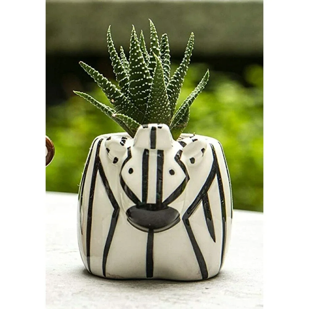 Animal Ceramic Succulent Planter Zebra